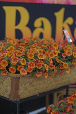 IMG_2836_R_1