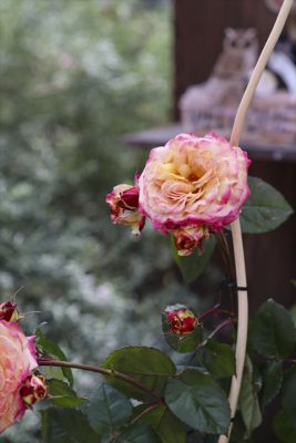 写真 2025-05-10 10 02 51_R_1
