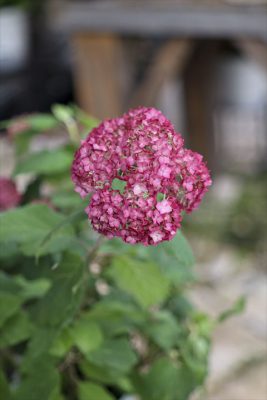 写真 2025-05-30 16 34 15_R_1