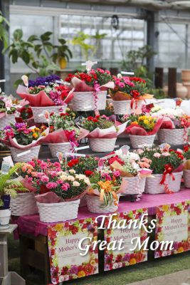 写真 2025-05-09 16 52 02_R_1 のコピー