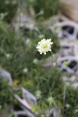 写真 2025-05-24 17 06 35_R_1