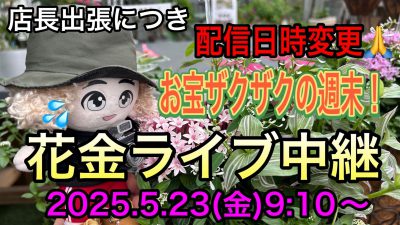 BDD14664C7BA1CEB6B1DED06E83CC3AD7BCE0B79