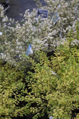 写真 2025-05-23 16 20 27_R_1