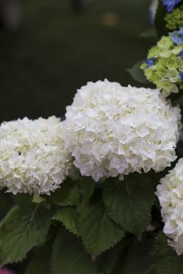 写真 2025-05-03 17 33 31_R_1