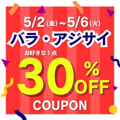 バラアジサイ３０％OFF (1)