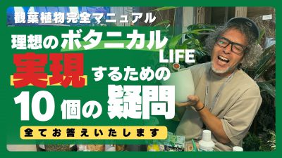 ゴールド　特典　集客　YouTube サムネイル