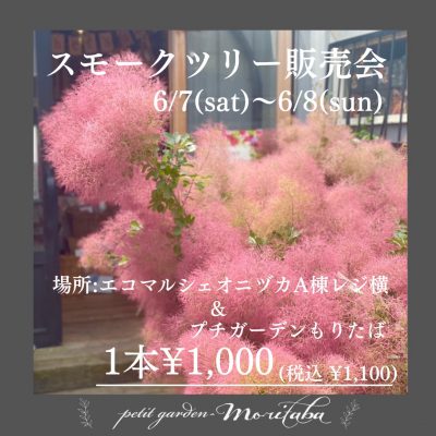 S__82599951