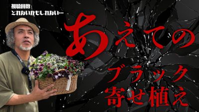 賭のコピー (1)