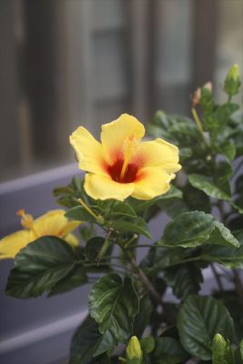 写真 2025-07-22 9 01 26_R_1