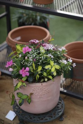 写真 2025-07-03 16 38 34_R_1