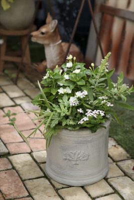 写真 2025-07-20 11 18 01_R_1