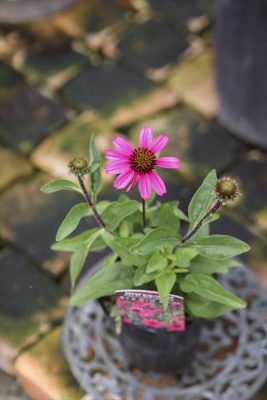 写真 2025-07-02 16 20 08_R_1