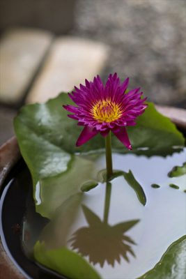 写真 2025-07-16 14 30 03_R_1