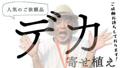 デカ
