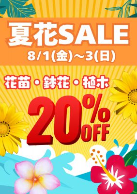 夏花sale (1)