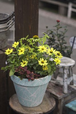 写真 2025-08-11 15 59 13_R_1