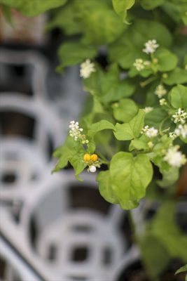 写真 2025-09-05 16 18 46_R_1