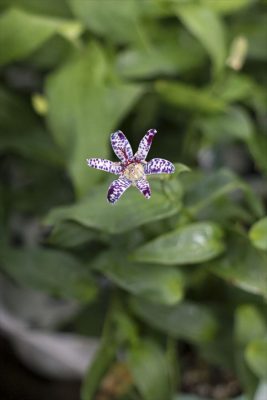 写真 2025-09-19 17 12 32_R_1