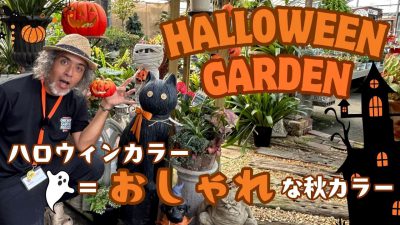 Halloweengarden (1)
