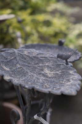 写真 2025-09-10 17 02 44_R_1