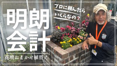 明朗会計