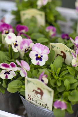 写真 2025-10-28 16 57 03_R_1