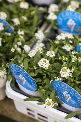 写真 2025-10-30 16 26 05_R_1