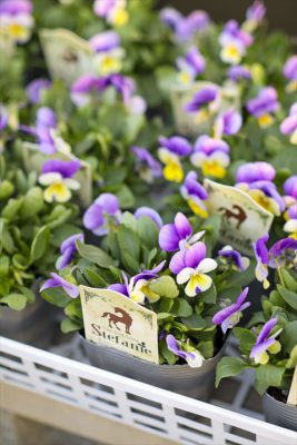 写真 2025-10-28 16 58 02_R_1