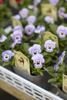 写真 2025-10-28 16 57 39_R_1