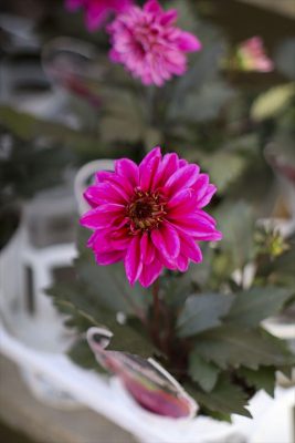 写真 2025-10-01 16 50 33_R_1