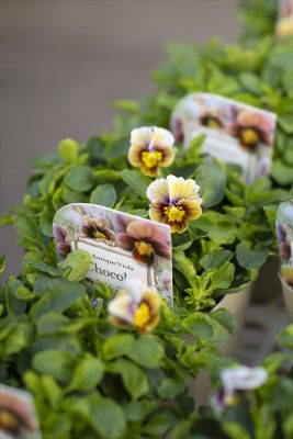 写真 2025-10-30 16 25 34_R_1