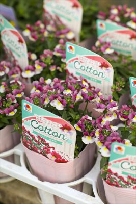 写真 2025-10-30 16 26 56_R_1