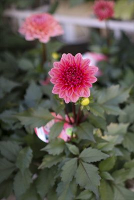 写真 2025-10-01 16 51 44_R_1