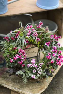 写真 2025-10-31 16 38 08_R_1