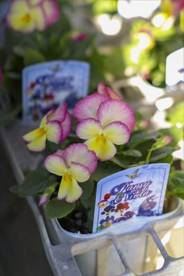 写真 2025-10-29 15 44 37_R_1