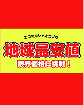 定番苗５０円セール２０２５のコピーのコピー