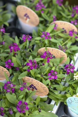 写真 2025-10-30 16 26 30_R_1