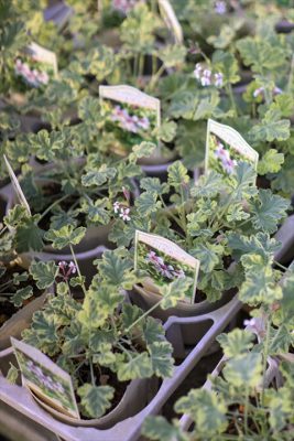 写真 2025-10-29 15 48 00_R_1