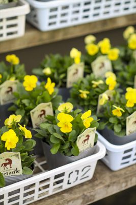 写真 2025-10-28 16 56 34_R_1