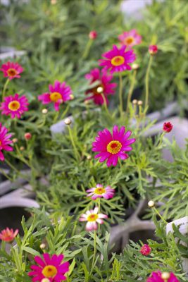 写真 2025-10-30 16 23 27_R_1