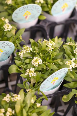 写真 2025-10-30 16 26 44_R_1