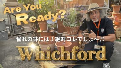 憧れの鉢には！絶対コレでしょ～♬