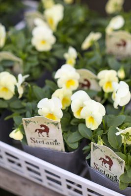 写真 2025-10-28 16 56 50_R_1