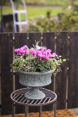 写真 2025-10-26 16 42 11_R_1