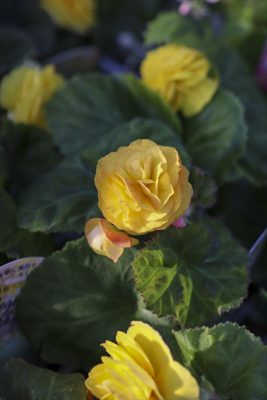 写真 2025-10-01 16 45 13_R_1