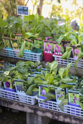 写真 2025-10-29 15 45 34_R_1