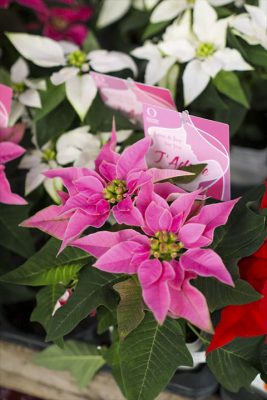 写真 2025-10-30 16 31 06_R_1