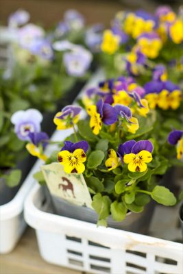 写真 2025-10-28 16 57 51_R_1