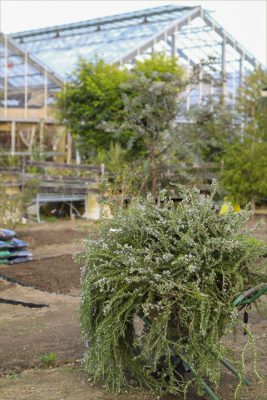 写真 2025-10-28 16 55 14_R_1