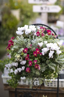 写真 2025-10-30 16 33 21_R_1